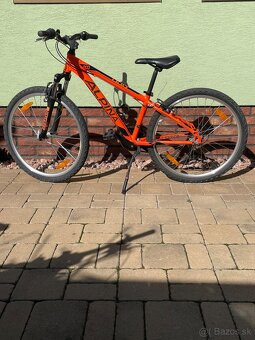 Bicykel Junior Alpina ECO 10M - 3