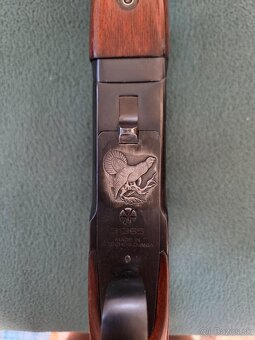 Gulobrok - 3