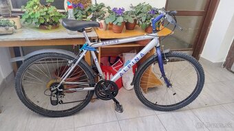 Retro bicykle - 3