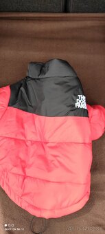 Bundička pre psíka - 3