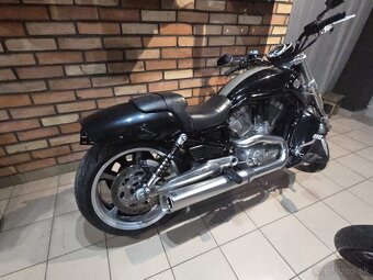 BD Vroad Muscle - 3