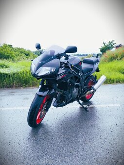 SUZUKI SV 1000S - 3