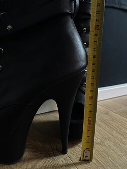 Pleaser Delight 1033 - 3