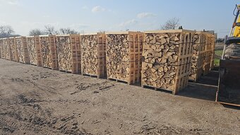 K R B O V É DREVO tvrdé - 3