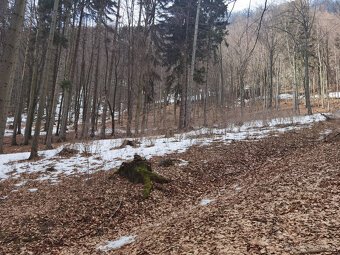 IBA U NÁS Slnečné pozemky Horovce okres Púchov - 3