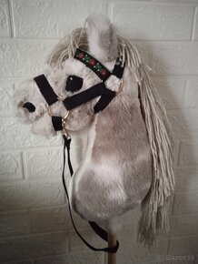Hobby horse - 3