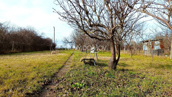 P R E D A J - 119990 € - 3