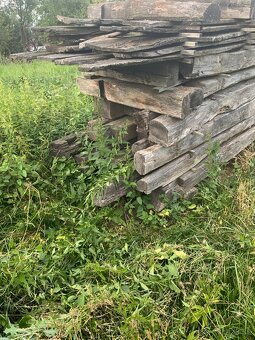 Staré drevo dub - 3