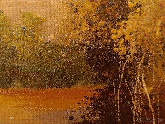 Obraz Šumava, olejomalba na plátně 26x33 - 3