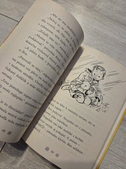 kniha Zatulane jahniatko - 3
