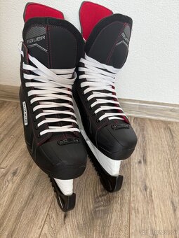 BAUER SCORE - 3