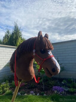Hobbyhorse - 3