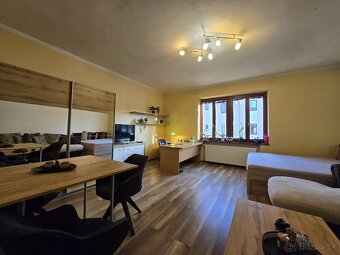 Prenájom 1-izbový, veľký byt so záhradou, Kupeckého Košice - 3