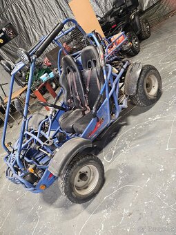 Buggie bashan 250cm³ - 3