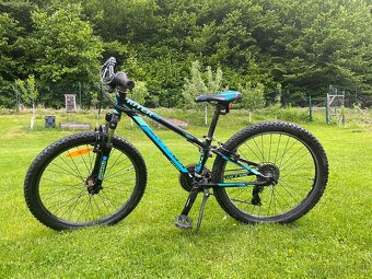 Kellys Kitter 50 - 3