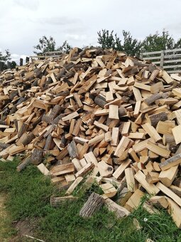 Suché tvrdé palivové drevo. NR, ZM, TO, NZ, SA - 3