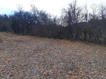 Predám lesnú frézu seppi - 3