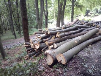 Predám palivové drevo buk - 3