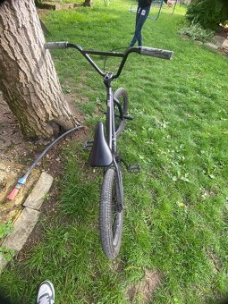 BMX Galaxy earl bird - 3