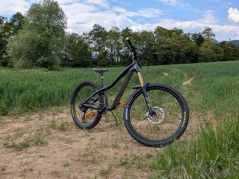 DARTMOOR Hornet Pro - 3