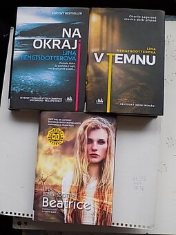 Detektívky -Gabaldon,Collins,Hooper,Reichs,Palov,Fern a iný - 3