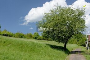 HALO reality - Predaj, rekreačný pozemok Župkov - EXKLUZÍVNE - 3