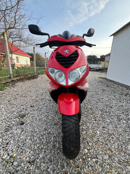 Predam Speedfight 50-Peugeot - 3