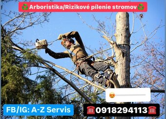 Čistenie pozemkov od náletovych drevín/Mulčovanie/Pílenie - 3