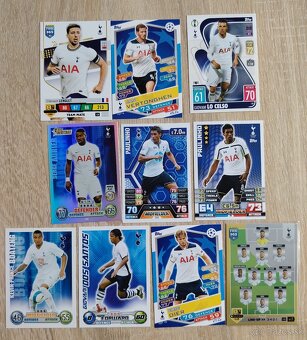 Futbalové karty - Tottenham - 3