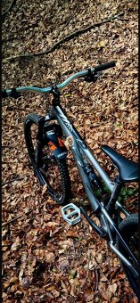 kellys swag 10 2023 - 3