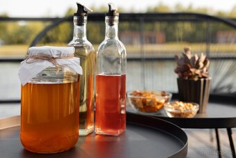 Kombucha čajová huba - 3