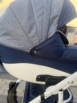 Camarelo Sirion - 3