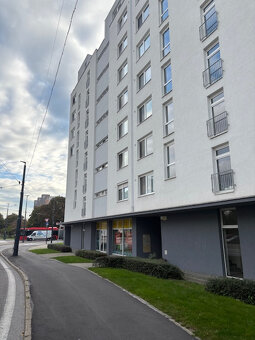 Obchodný priestor Podunajské Biskupice na ul. Podzáhradná - 3