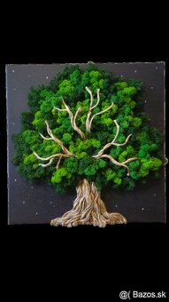 Machový obraz v rôznych rozmeroch - 3