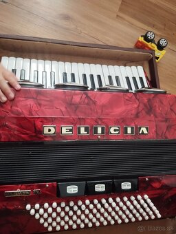 Akordeón, harmonika - 3
