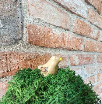 Strom stabilizovaný mach - 3