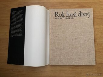 Rok husi divej - 3