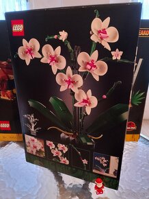 LEGO® Icons 10311 Orchidej - 3