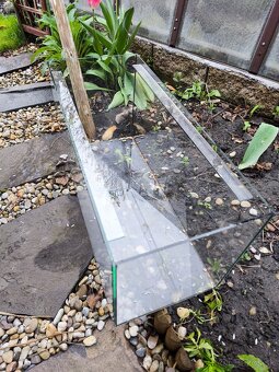 Terarium - 3