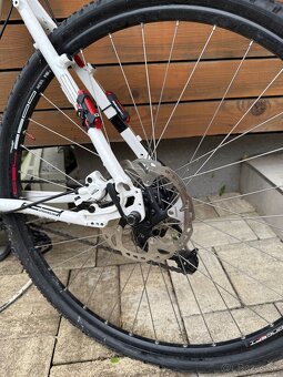 Focus series cross - 3