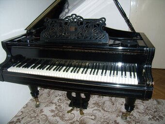 Klavírne krídlo - 3