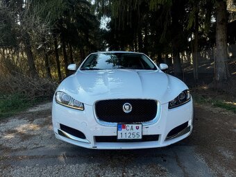 Jaguar - 3