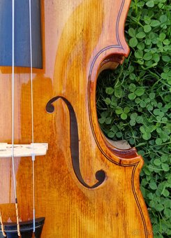 Staršie husle 4/4 - 3