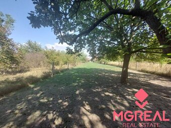 Rodinný dom s veľkým pozemkom  - Veľký Cetín - 3