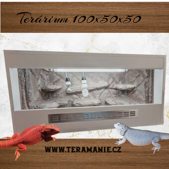 Terárium 100x50x50 , agama bradatá - 3