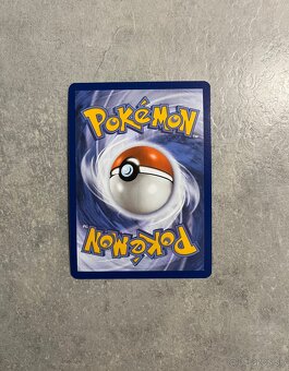 Pokemon Charizard,Ivysaur - 3