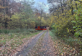 Rekreačný pozemok na výstavbu chaty blízko Vranova nad Topľo - 3