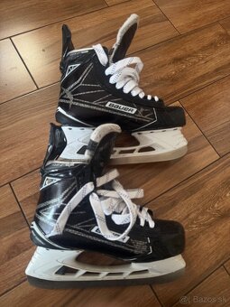 Predam Bauer supreme 1S - 3