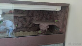terarium - 3