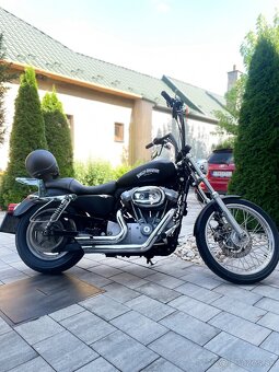 Harley Davidson Sportster XL883C - 3